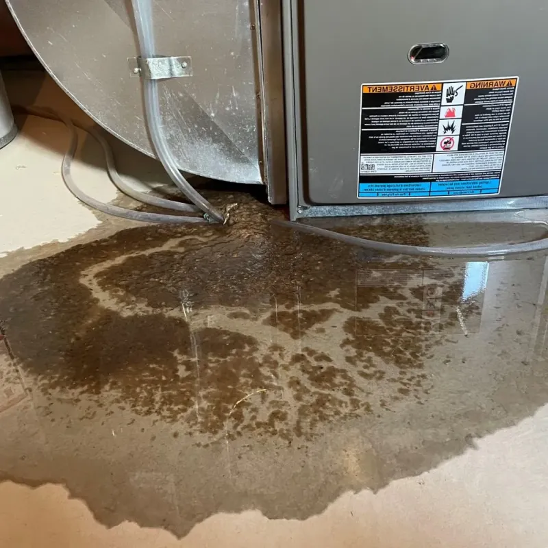 Pipe Burst and Leak Restoration in Hyattsville, MD